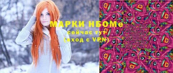 PSILOCYBIN Белая Холуница