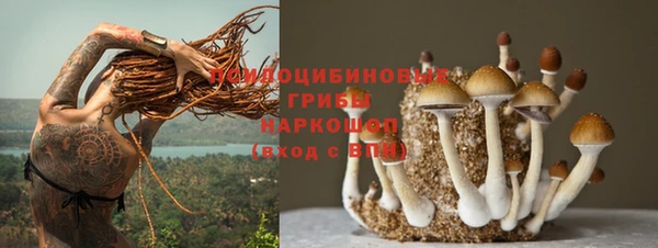 ПСИЛОЦИБИНОВЫЕ ГРИБЫ Алзамай