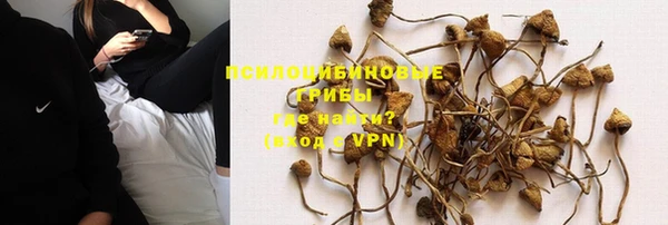 ПСИЛОЦИБИНОВЫЕ ГРИБЫ Алзамай
