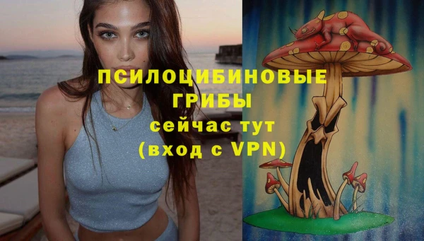 ПСИЛОЦИБИНОВЫЕ ГРИБЫ Алзамай