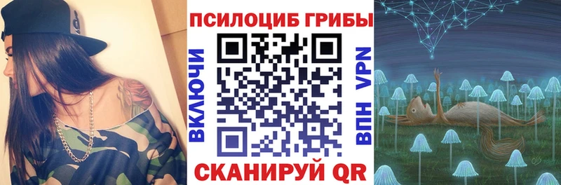 закладка Долинск Псилоцибиновые грибы MAGIC MUSHROOMS